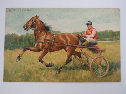 Vintage harness racing - harness,