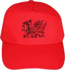 Adult's Welsh Dragon