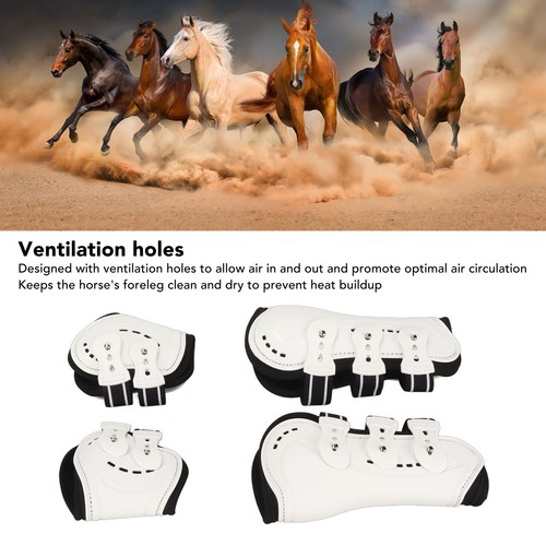 Horse front tendon boots - horse,