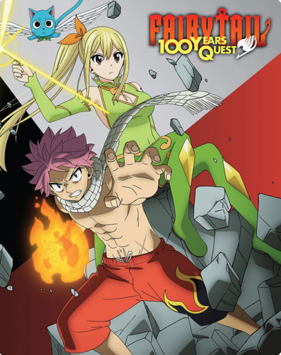 Fairy tail 100 - fairy,