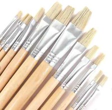 12 pcs Natural Bristle Long