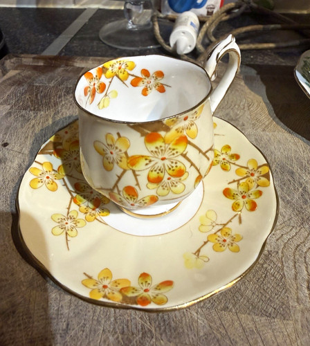Royal albert blackthorn - albert,