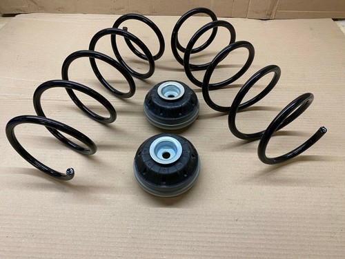 Front suspension coil - front,