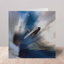 English Electric Lightning Jet