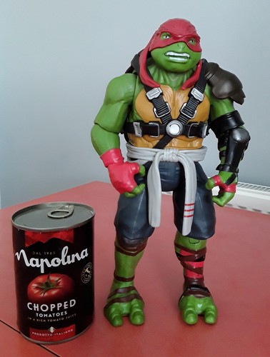 Teenage mutant ninja turtles - mutant,