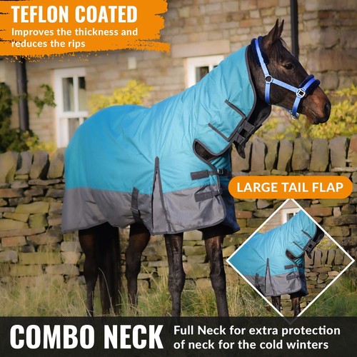 Outdoor winter turnout - outdoor, horse