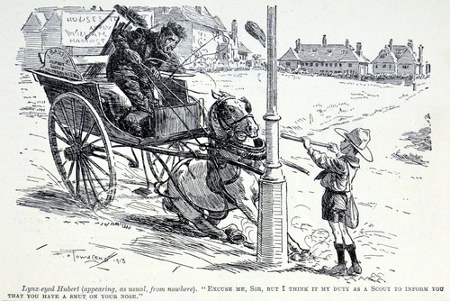 Scout horse and cart - scout,,