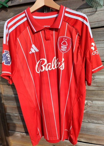 Nottingham forest home - nottingham,