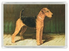 AIREDALE TERRIER DOG FRIDGE