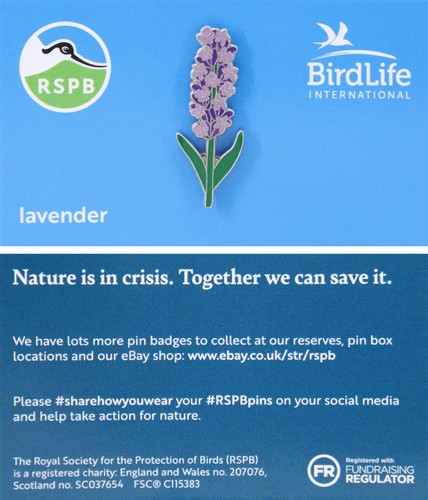 Rspb pin badge bird - badge, life