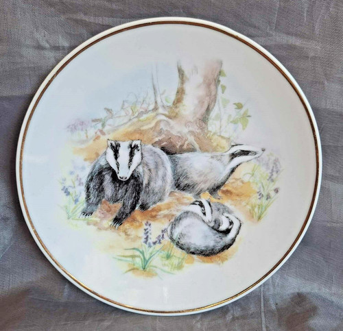 Wildlife britain badgers - wildlife, of
