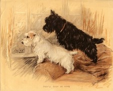 SEALYHAM TERRIER SCOTTISH