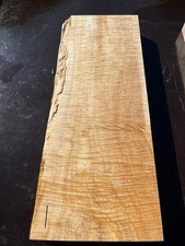 Curly flame sycamore maple - flame,