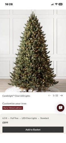 Christmas tree balsam hill - balsam,