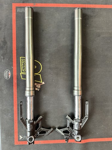 2025 triumph 765 oem - 765,