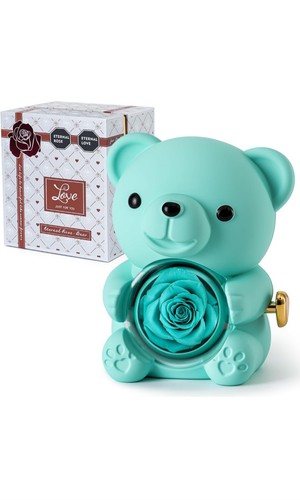 Teddy bear with preserved - with,