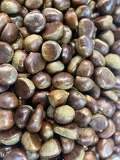 Quality New Season French