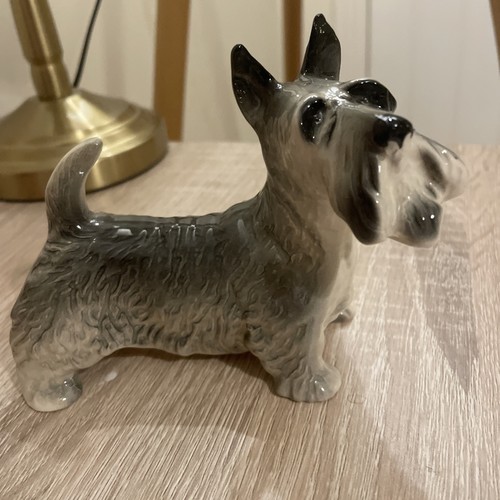 Scottish terrier scottie - scottish, dog