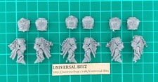 Skullcrushers Bodies Torsos