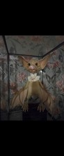 Ooak Artist Bear Bat By Olga