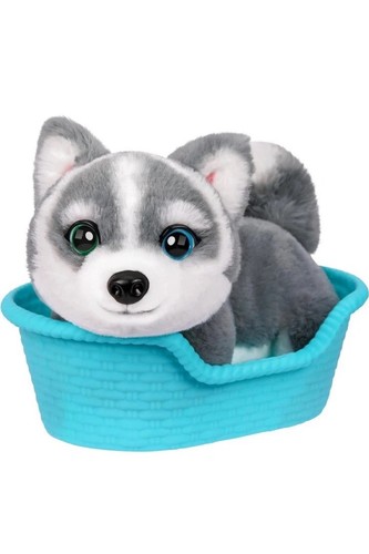 Little live pets my - ,