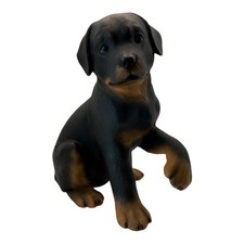 Lenox Rottweiler Puppy