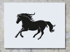 Horse Riding Pet Animal Rider