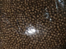Koi carp food - koi,