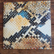 The Amazing Snakeheads, Amphetamine Ballads, vinyl LP, 1st Press,  EX/EX, RARE