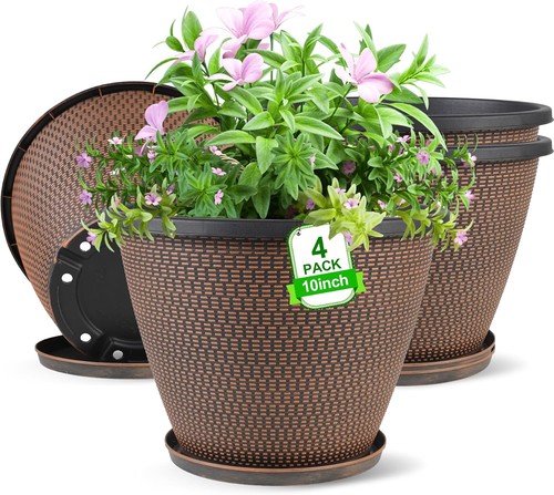 Pack inch plant pot for - pack,