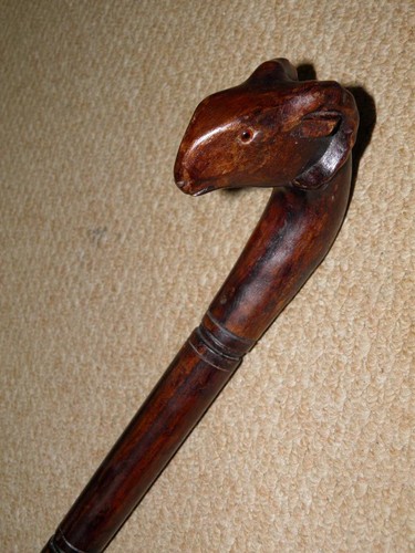 Antique walking stick - walking,