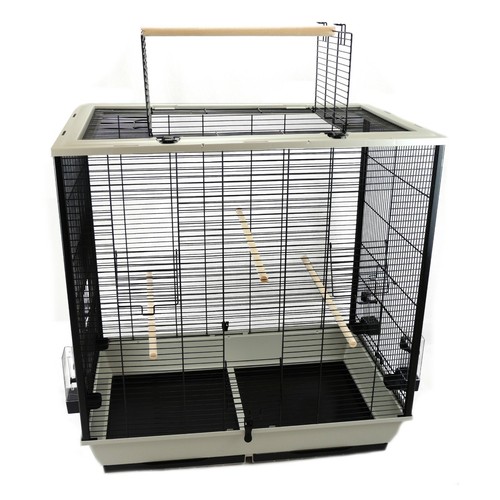 Cockatiel budgie bird cage - cockatiel,