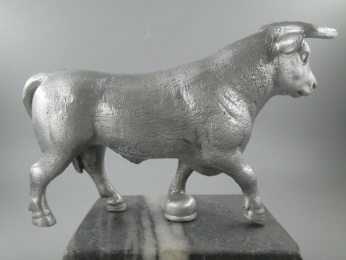 Black angus bull stock - angus,
