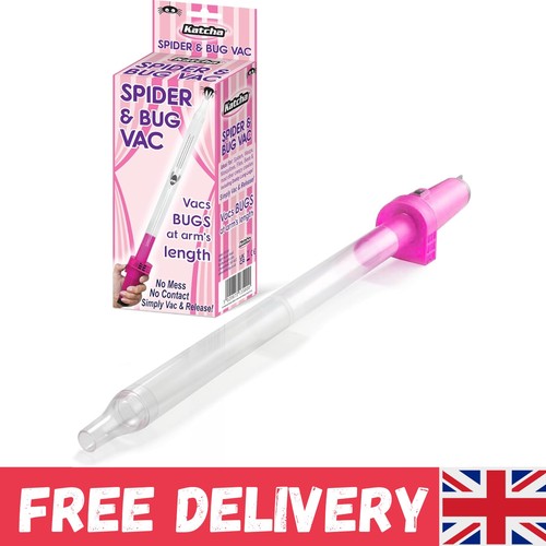 Spider and bug - -, limited