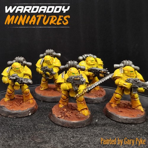 Pro painted warhammer - pro,
