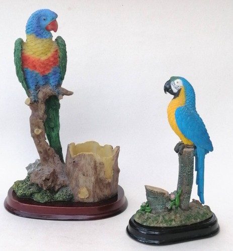 Macaw parrot parakeet - parrot,