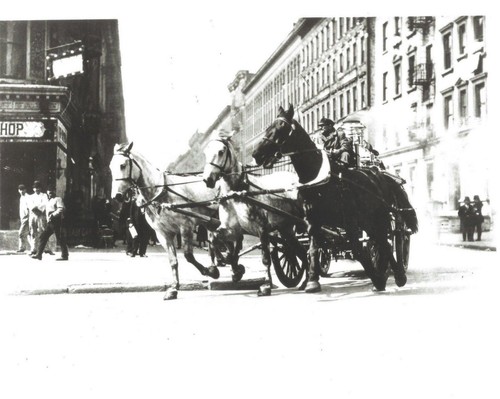 Horse drawn fire truck - horse, 8x10