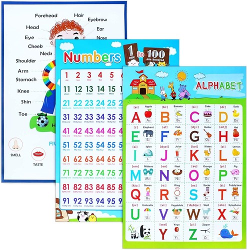 Pieces educational posters - 3,