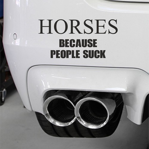 Horsebox decal sticker - horsebox,