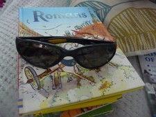 Aquapolar sunglasses julbo X5 sun ski snowsports