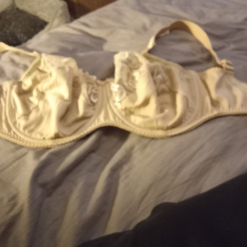 Prima donna full cup pre - prima,