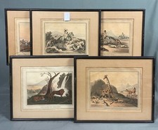 X5 Antique Colonial Indian Field Sports Prints Samuel Howitt 1813