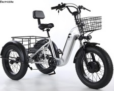 20" Electric Tricycle 48V 12Ah