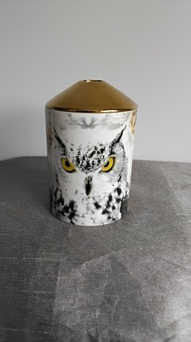 Wild things ashleigh - wild,