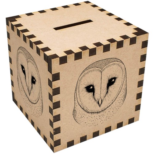Barn owl portrait money - 'barn, box