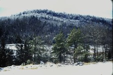 RED BORDER SLIDE Snowy