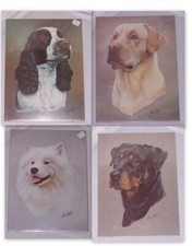 Dog Prints by Brian Hupfield