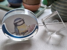 Pair of Glass Animal Paperweights – Blue Tit by Devatrend & 3D Crystal Laser Cut