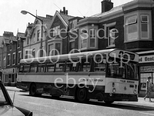 5cm 4cm negative - x,