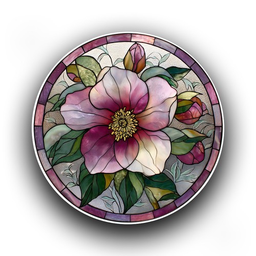 Hellebore flower nature - flower,